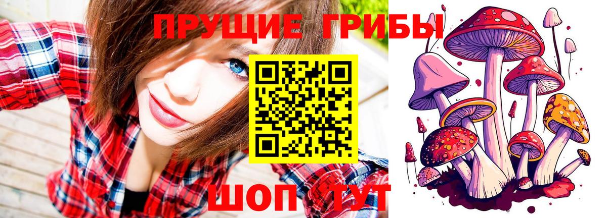 Ирбит  Псилоцибиновые грибы MAGIC MUSHROOMS  Псилоцибиновые грибы прущие грибы  Вход с VPN 
