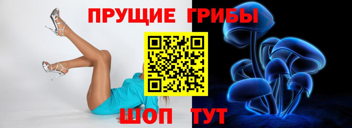 Псилоцибиновые грибы GOLDEN TEACHER Ирбит
